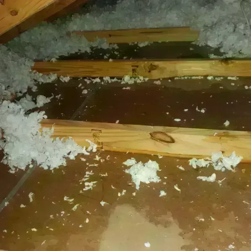 Attic Water Damage in Jersey County, IL