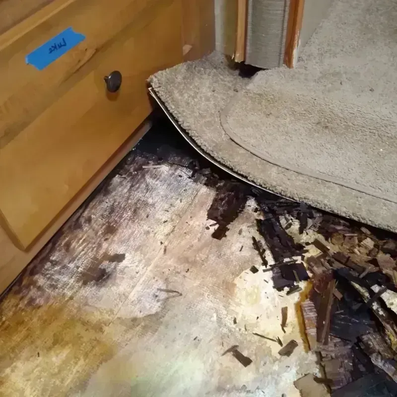 Wood Floor Water Damage in Jersey County, IL